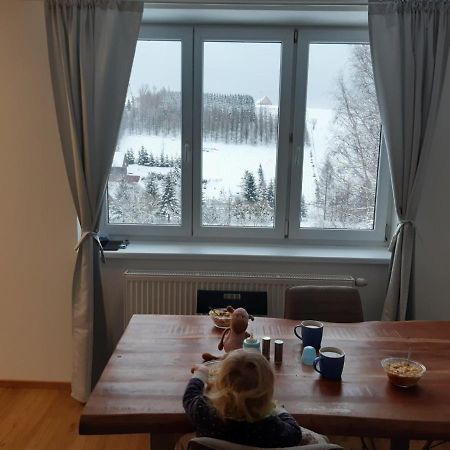 Apartman U Kunstatskeho Mlyna Orlicke Zahori Екстериор снимка