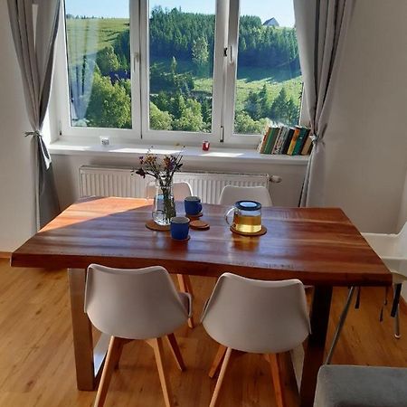 Apartman U Kunstatskeho Mlyna Orlicke Zahori Екстериор снимка