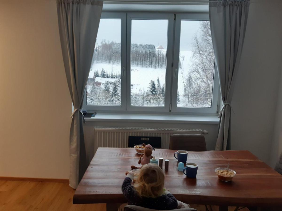 Apartman U Kunstatskeho Mlyna Orlicke Zahori Екстериор снимка