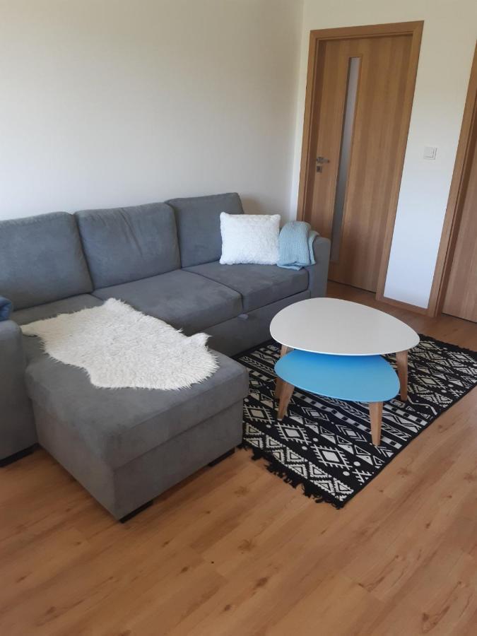 Apartman U Kunstatskeho Mlyna Orlicke Zahori Екстериор снимка