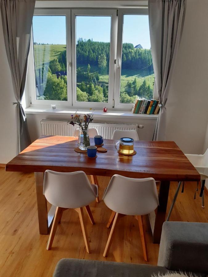 Apartman U Kunstatskeho Mlyna Orlicke Zahori Екстериор снимка