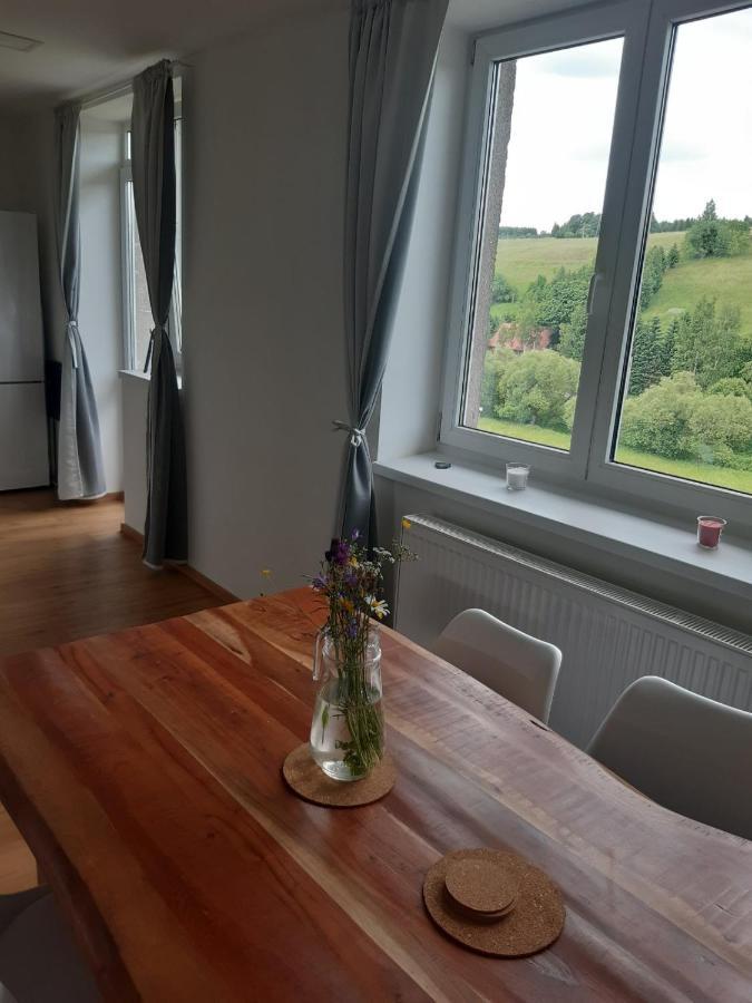 Apartman U Kunstatskeho Mlyna Orlicke Zahori Екстериор снимка