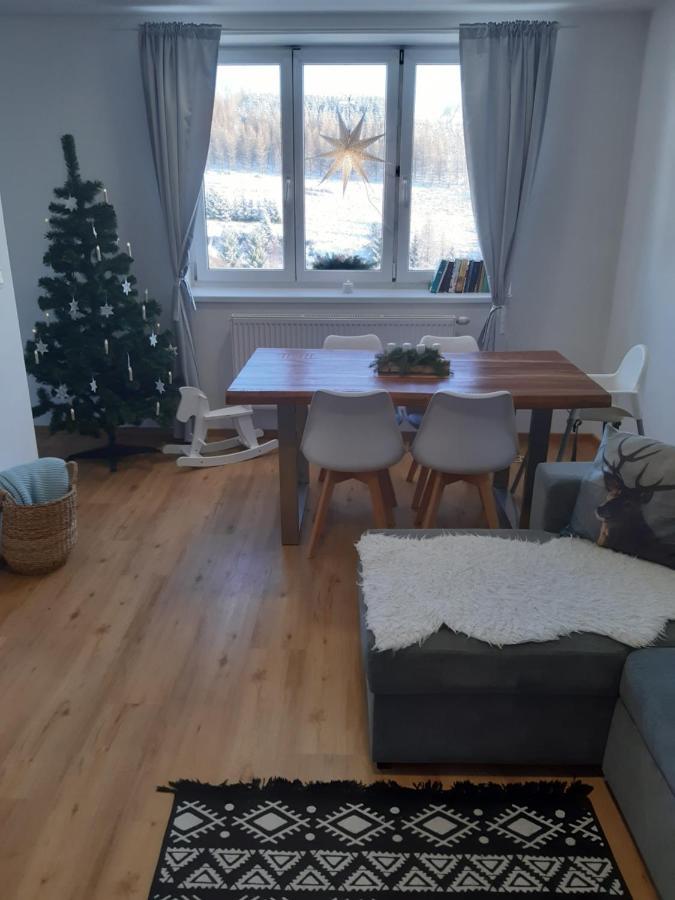 Apartman U Kunstatskeho Mlyna Orlicke Zahori Екстериор снимка