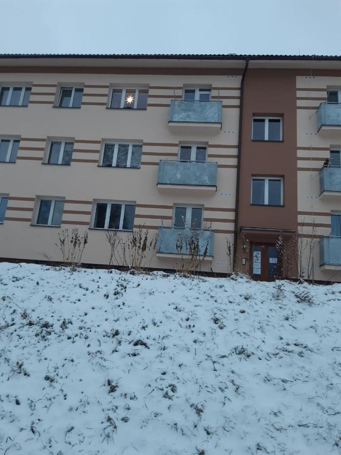 Apartman U Kunstatskeho Mlyna Orlicke Zahori Екстериор снимка
