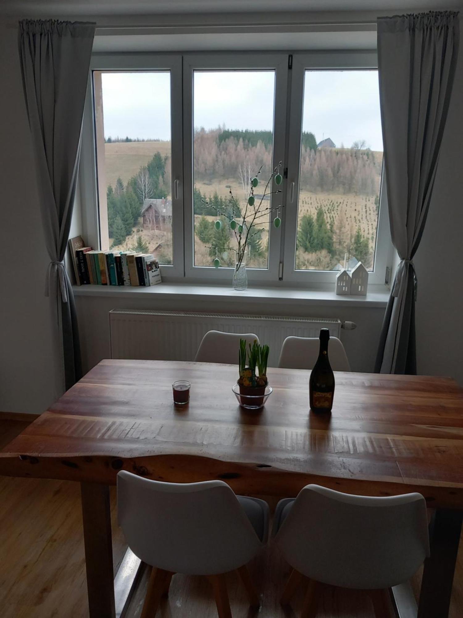 Apartman U Kunstatskeho Mlyna Orlicke Zahori Екстериор снимка