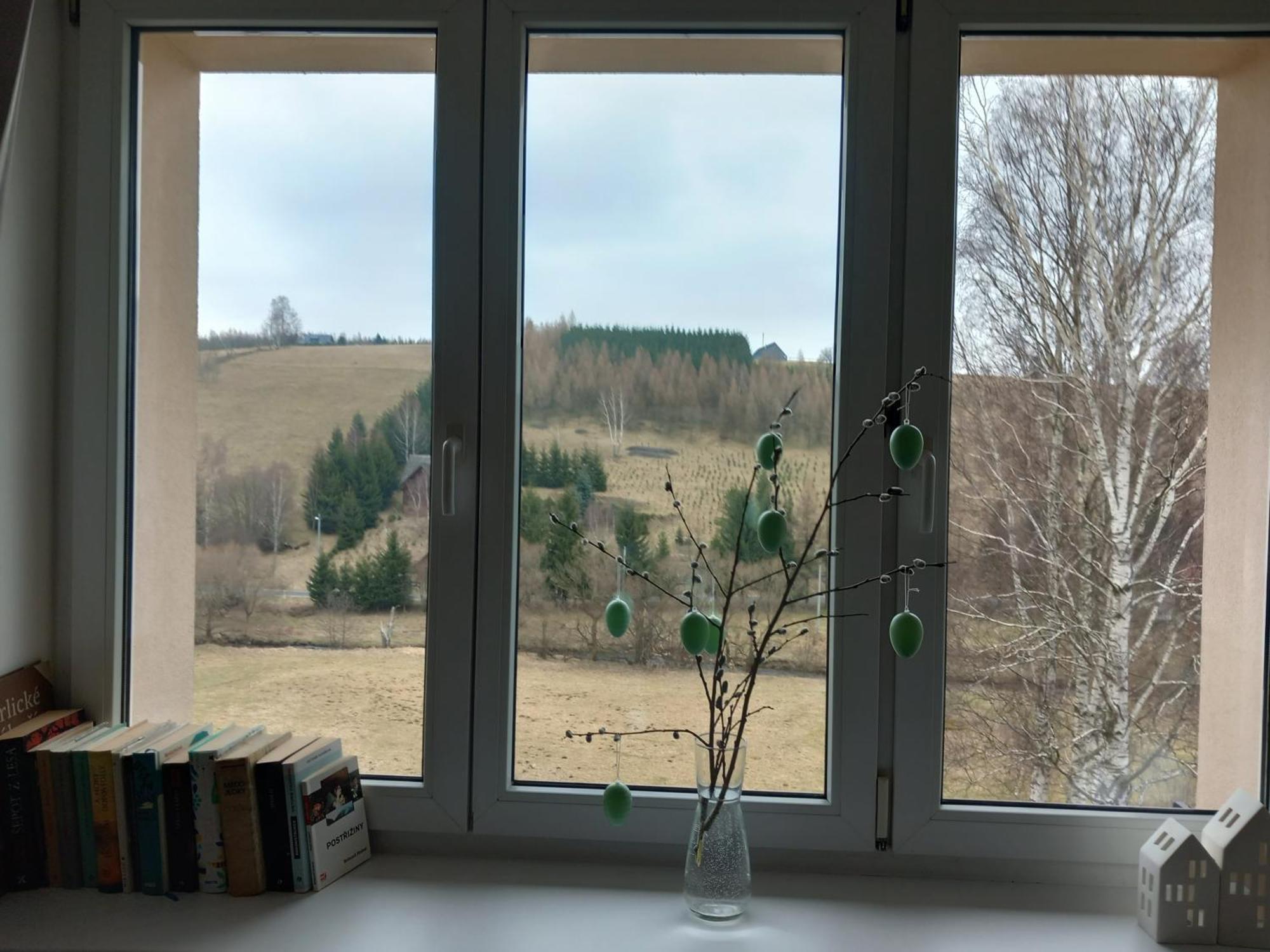 Apartman U Kunstatskeho Mlyna Orlicke Zahori Екстериор снимка